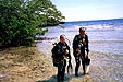 Shore Diving Pictures