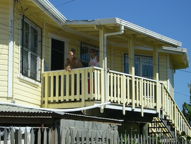 mangrove bay